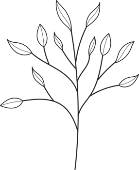 Hand drawn curly grass and flowers. png