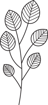Hand drawn curly grass and flowers. png
