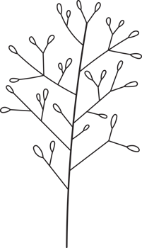 Hand drawn curly grass and flowers. png