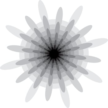 mandalas on monochrome vector