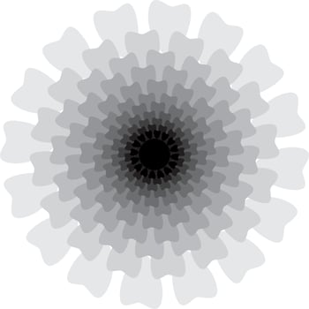 mandalas on monochrome vector