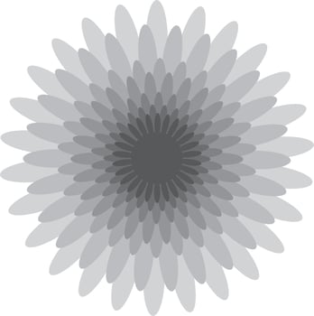 mandalas on monochrome vector