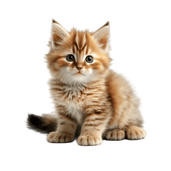Realistic Cute Cat Cartoon Style Digital Artwork png