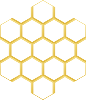 Honeycomb shape PNG
