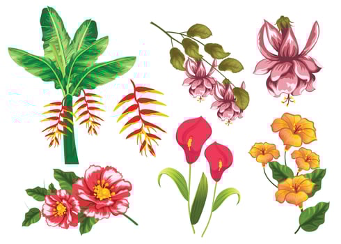 A set of flowers and leaves with the word love on them. vector