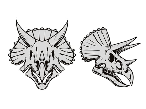 A drawing of a triceratops skull vector