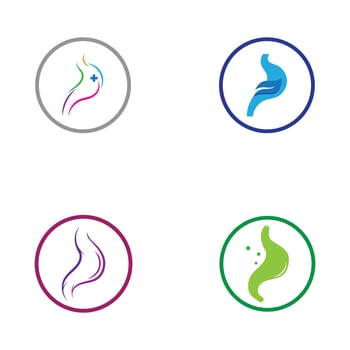 stomach care icon designs vector