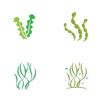 seaweed logo design with vector illustration template