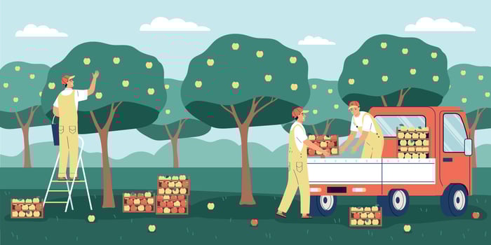 Apple Garden Illustration vector