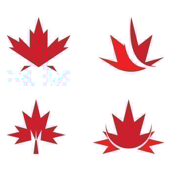 Maple leaf vector illustration