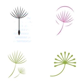 dandelion flower logo with template vector illustration