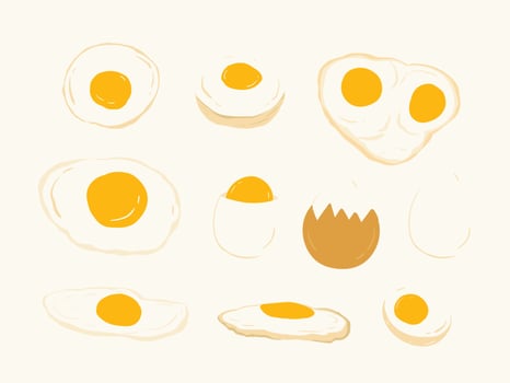 fried eggs Vector illustration
