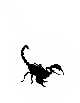 Scorpion on the Pan Silhouette for Bizarre or Extreme or Exotic Food, Traditional Food in Asian Country, Culinary Sign for Icon Symbol, Apps, Pictogram, Logo, Website, or Graphic Design Element. PNG
