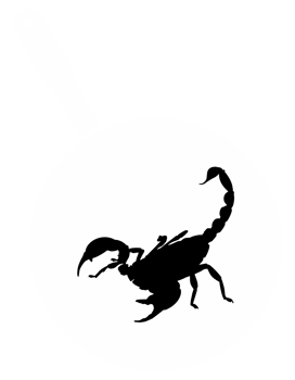 Scorpion on the Pan Silhouette for Bizarre or Extreme or Exotic Food, Traditional Food in Asian Country, Culinary Sign for Icon Symbol, Apps, Pictogram, Logo, Website, or Graphic Design Element. PNG