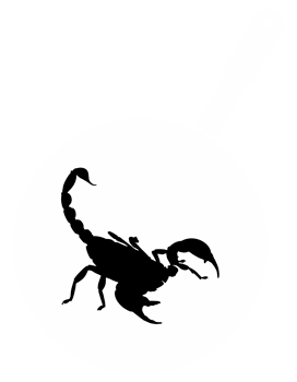 Scorpion on the Pan Silhouette for Bizarre or Extreme or Exotic Food, Traditional Food in Asian Country, Culinary Sign for Icon Symbol, Apps, Pictogram, Logo, Website, or Graphic Design Element. PNG
