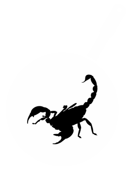 Scorpion on the Pan Silhouette for Bizarre or Extreme or Exotic Food, Traditional Food in Asian Country, Culinary Sign for Icon Symbol, Apps, Pictogram, Logo, Website, or Graphic Design Element. PNG