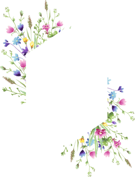 Wildflowers frame. Watercolor clipart png