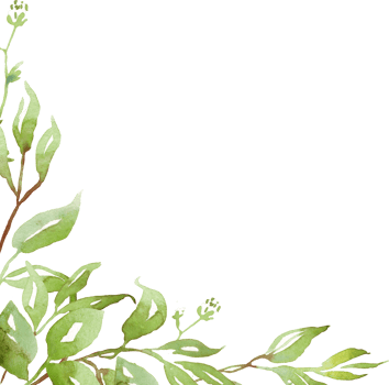 Watercolor greenery frame png