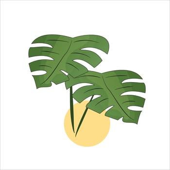 Hand draws Monstera leaves logo design vector