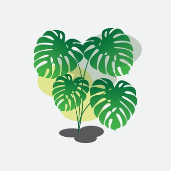 Vector Monstera flower office interior background logo design