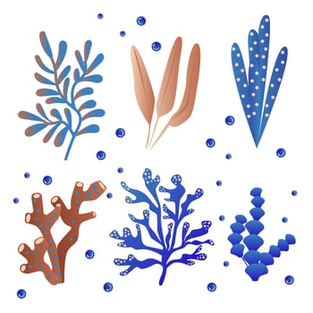 Cartoon ocean plants. Anemones, corals and seaweed, marine kelp, aquarium plants. Underwater reef flora vector illustration icons set