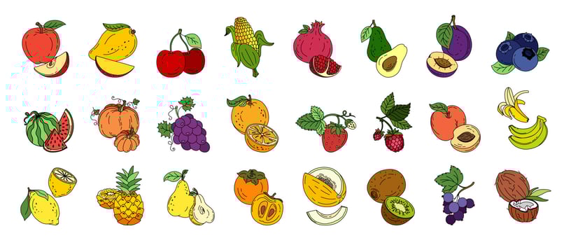 Exotic fruit set doodle Vector color illustration isolated on white background