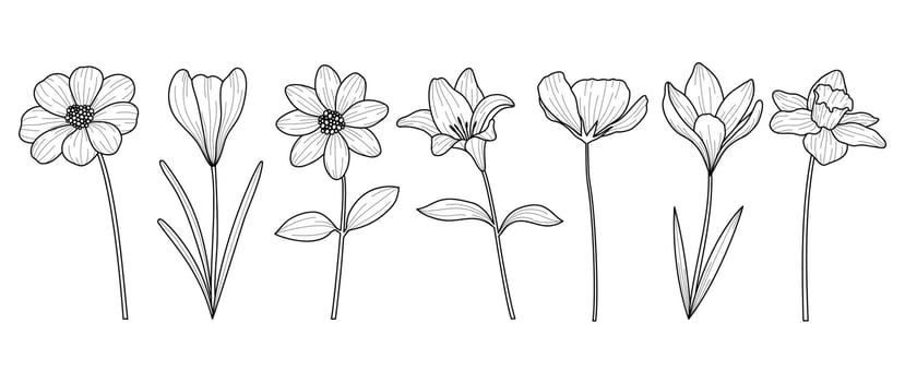 Set of hand drawn botanical flowers line art vector. Collection of black white contour drawing of lily, wildflowers, leaf. Design illustration for print, logo, cosmetic, poster, card, branding. vector
