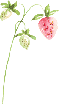 Watercolor strawberry. Watercolor clipart png