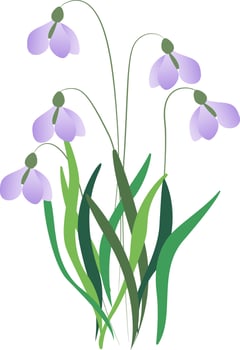 Floral illustration with abstract flowers, green leaves and plants, flying butterflies. Illustration summer flower isolated on white background. vector