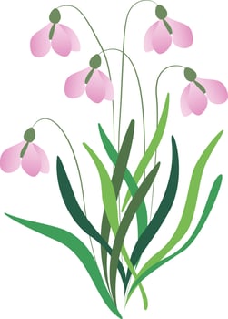 Floral illustration with abstract flowers, green leaves and plants, flying butterflies. Illustration summer flower isolated on white background. vector