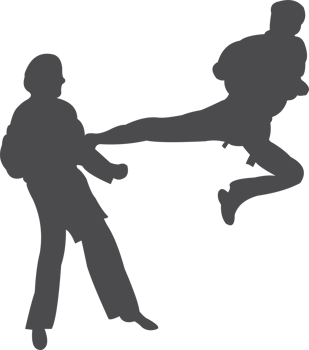 Taekwondo silhouette icon PNG