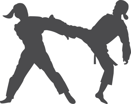Taekwondo silhouette icon PNG