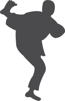The man taekwondo silhouette icon PNG
