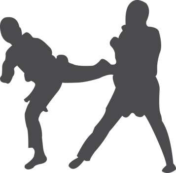 Taekwondo silhouette icon PNG