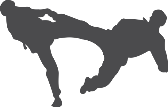 Taekwondo silhouette icon PNG
