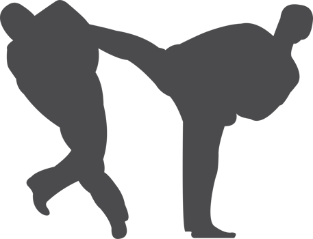 Taekwondo silhouette icon PNG