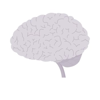 Isolated of human brain illustration in flat vector. vector