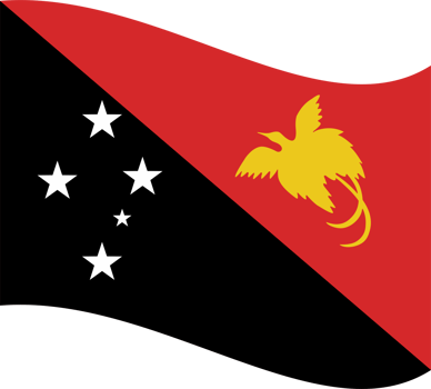 Papua New Guinea flag PNG