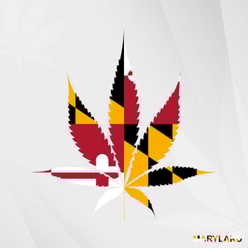 Flag of Maryland in Marijuana leaf shape. The concept of legalization Cannabis in Maryland. vector