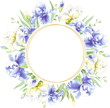 Watercolor iris frame. Hand-painted clipart png