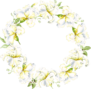 White irises wreath. Watercolor clipart png