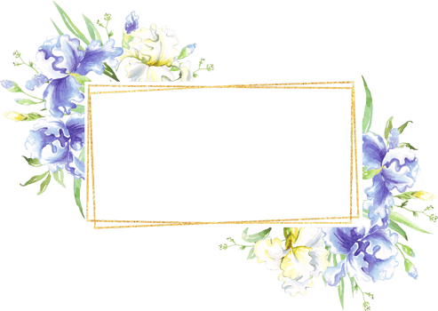 Watercolor iris frame. Hand-painted clipart png