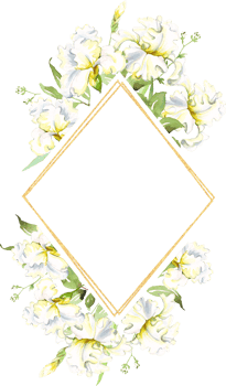 White irises frame. Watercolor clipart png
