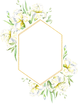White irises frame. Watercolor clipart png