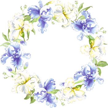 Watercolor iris wreath. Hand-painted clipart png