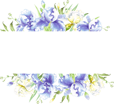 Watercolor iris frame. Hand-painted clipart png