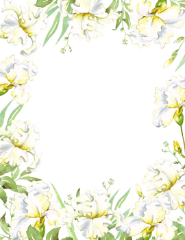 White irises frame. Watercolor clipart png