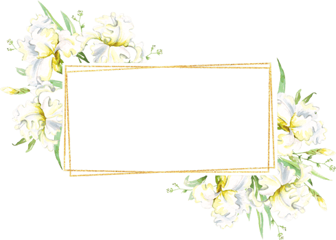 White irises frame. Watercolor clipart png