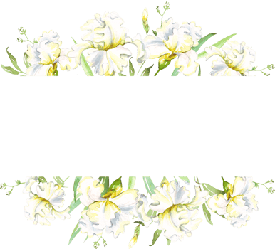 White irises frame. Watercolor clipart png