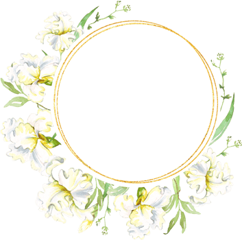 White irises frame. Watercolor clipart png